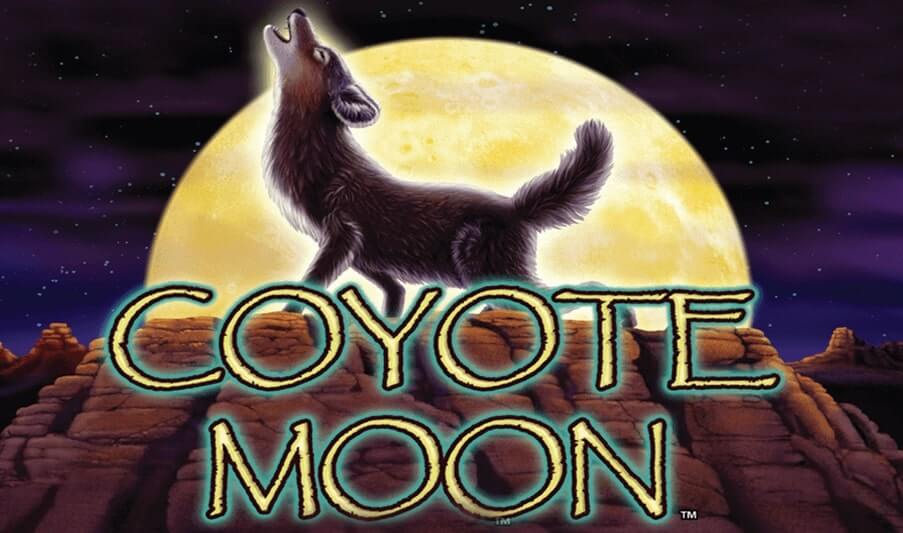 Coyote Moon