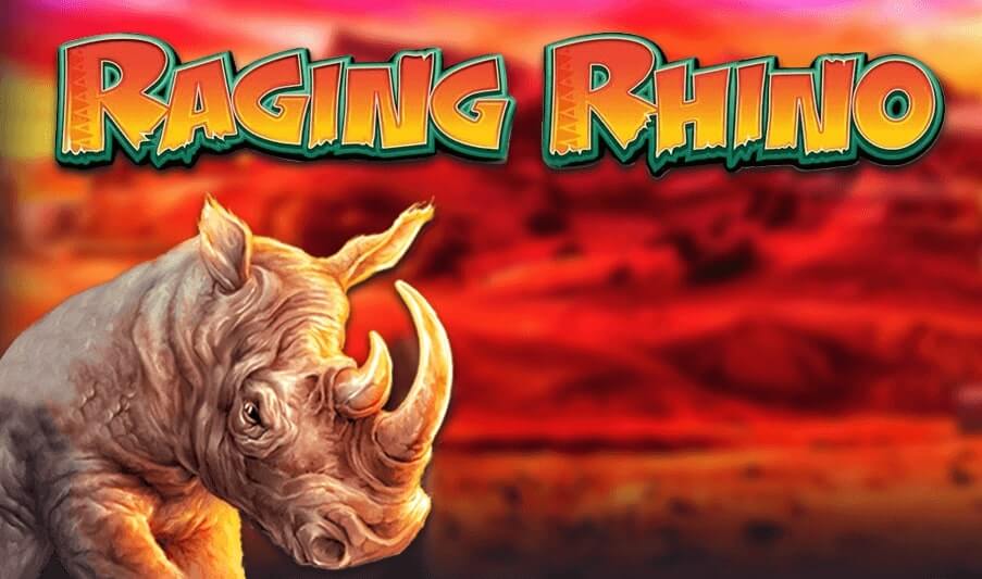 Raging Rhino