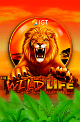 Wild Life